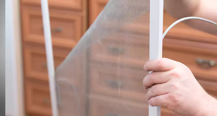 Privacy Mesh Screen Door Installation in Hunters Creek, FL