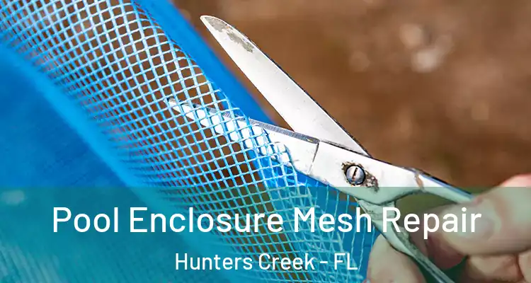  Pool Enclosure Mesh Repair Hunters Creek - FL
