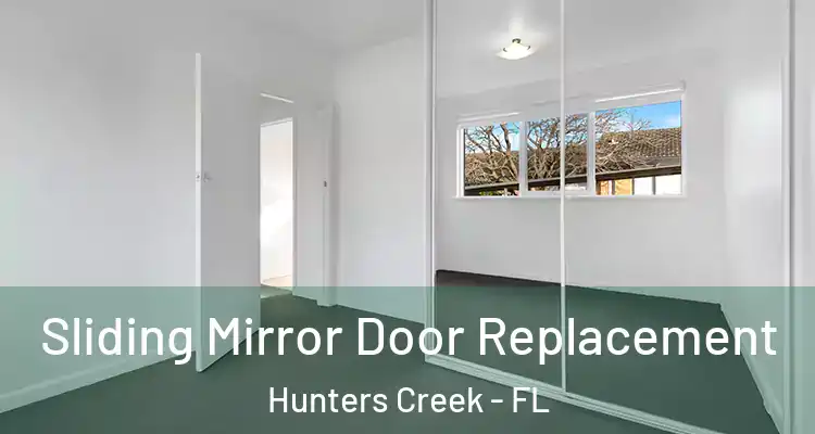  Sliding Mirror Door Replacement Hunters Creek - FL